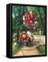 The Balloon Man-Betty Lou-Framed Stretched Canvas