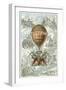 The Balloon of the Coronation of Napoleon-null-Framed Giclee Print