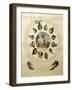 The Ballooning Game, with Illustrations of Different Hot Air Balloons, c.1784-null-Framed Giclee Print