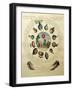 The Ballooning Game, with Illustrations of Different Hot Air Balloons, c.1784-null-Framed Giclee Print