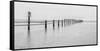 The Baltic Sea at the emergency harbour of Darßer Ort (promontory)-Jean Schwarz-Framed Stretched Canvas