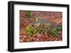 The Baltic Sea, National Park Jasmund, Beech Forest in Autumn, Tree Stump, Foliage-Catharina Lux-Framed Photographic Print