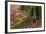 The Baltic Sea, National Park Jasmund, Steep Coast, Beech Forest-Catharina Lux-Framed Photographic Print