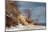 The Baltic Sea, RŸgen, Granitz, Beach in Winter-Catharina Lux-Mounted Photographic Print