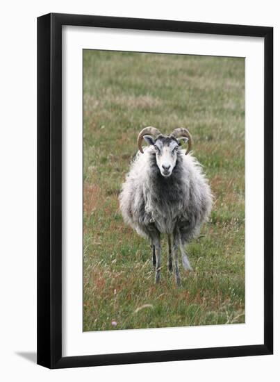 The Baltic Sea, RŸgen, Kreptitz Heath, Ram-Catharina Lux-Framed Premium Photographic Print