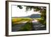 The Baltic Sea, RŸgen, Path Through Rape Field, Summer-Catharina Lux-Framed Photographic Print