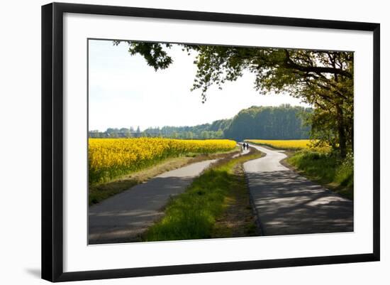 The Baltic Sea, RŸgen, Path Through Rape Field, Summer-Catharina Lux-Framed Photographic Print