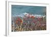 The Baltic Sea, RŸgen, Steep Coast, North Beach, Rowanberries-Catharina Lux-Framed Photographic Print