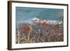 The Baltic Sea, RŸgen, Steep Coast, North Beach, Rowanberries-Catharina Lux-Framed Photographic Print