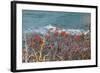 The Baltic Sea, RŸgen, Steep Coast, North Beach, Rowanberries-Catharina Lux-Framed Photographic Print