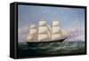 The Baltimore Clippership Carrier Dove, 1856-Samuel Walters-Framed Stretched Canvas