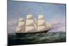 The Baltimore Clippership Carrier Dove, 1856-Samuel Walters-Mounted Giclee Print
