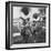 The Baltimore Colts' Marching Band Leaving the Field-null-Framed Photographic Print