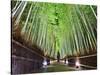 The Bamboo Forest of Kyoto, Japan-Sean Pavone-Stretched Canvas