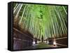 The Bamboo Forest of Kyoto, Japan-Sean Pavone-Framed Stretched Canvas
