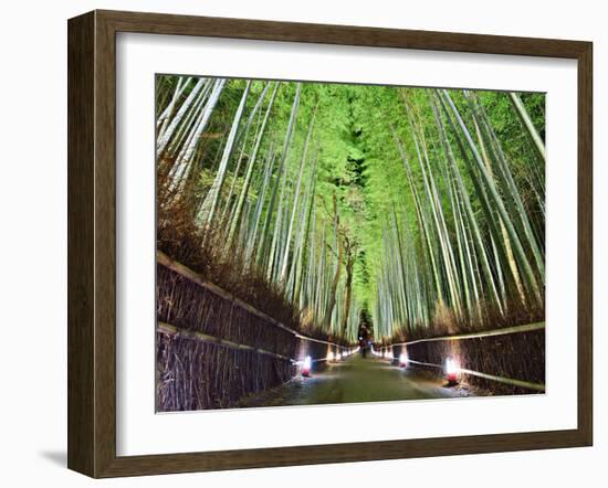 The Bamboo Forest of Kyoto, Japan-Sean Pavone-Framed Photographic Print