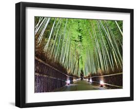 The Bamboo Forest of Kyoto, Japan-Sean Pavone-Framed Photographic Print