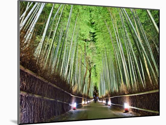 The Bamboo Forest of Kyoto, Japan-Sean Pavone-Mounted Photographic Print