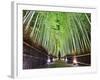 The Bamboo Forest of Kyoto, Japan-Sean Pavone-Framed Photographic Print