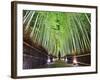 The Bamboo Forest of Kyoto, Japan-Sean Pavone-Framed Photographic Print