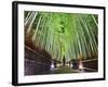 The Bamboo Forest of Kyoto, Japan-Sean Pavone-Framed Photographic Print