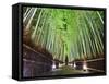 The Bamboo Forest of Kyoto, Japan-Sean Pavone-Framed Stretched Canvas