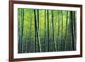 The Bamboo Grove-Robert Churchill-Framed Art Print