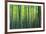 The Bamboo Grove-Robert Churchill-Framed Art Print