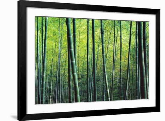 The Bamboo Grove-Robert Churchill-Framed Art Print