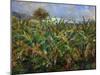 The Banana Plantation, 1881-Pierre-Auguste Renoir-Mounted Giclee Print