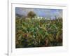 The Banana Plantation, 1881-Pierre-Auguste Renoir-Framed Giclee Print