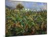 The Banana Plantation, 1881-Pierre-Auguste Renoir-Mounted Giclee Print