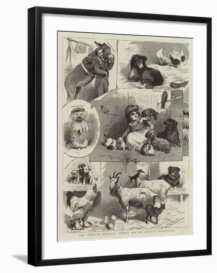 The Band of Kindness Donkey and Pet Show at Manchester-null-Framed Giclee Print