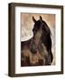 The Bandit-Barry Hart-Framed Giclee Print