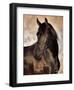 The Bandit-Barry Hart-Framed Art Print