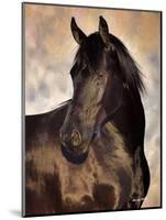 The Bandit-Barry Hart-Mounted Art Print