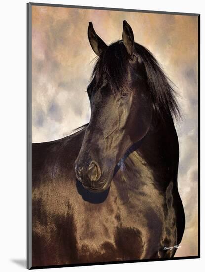 The Bandit-Barry Hart-Mounted Art Print