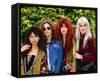 The Bangles-null-Framed Stretched Canvas