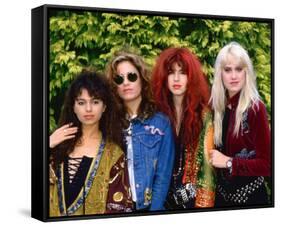 The Bangles-null-Framed Stretched Canvas