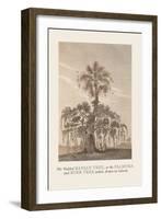 The Banian Tree and Burr Tree, United-Baron De Montalemert-Framed Art Print