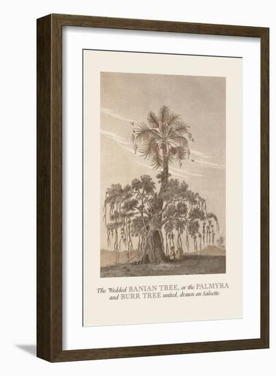 The Banian Tree and Burr Tree, United-Baron De Montalemert-Framed Art Print