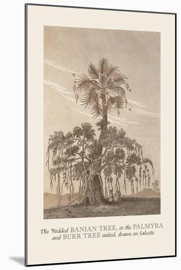 The Banian Tree and Burr Tree, United-Baron De Montalemert-Mounted Art Print