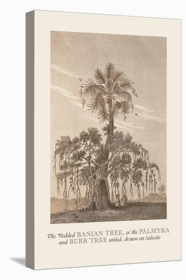 The Banian Tree and Burr Tree, United-Baron De Montalemert-Stretched Canvas