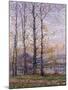 The Banks of the Oise at Precy; Les Bords De L'Oise a Precy-Gustave Loiseau-Mounted Giclee Print