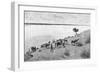 The Banks of the Rio Neuquen, Argentina, 1895-Alfred Paris-Framed Giclee Print