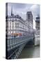 The Banks of the Seine and Notre Dame De Paris Cathedral, Paris, France, Europe-Julian Elliott-Stretched Canvas