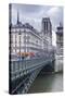 The Banks of the Seine and Notre Dame De Paris Cathedral, Paris, France, Europe-Julian Elliott-Stretched Canvas