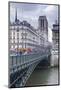 The Banks of the Seine and Notre Dame De Paris Cathedral, Paris, France, Europe-Julian Elliott-Mounted Photographic Print