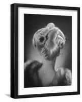 "The Baom" Antaine Hairdo Costing $35-null-Framed Photographic Print