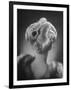 "The Baom" Antaine Hairdo Costing $35-null-Framed Photographic Print